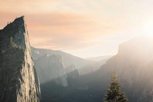 Regional Variations of Xiaolongbao Across China