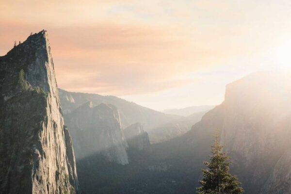Regional Variations of Xiaolongbao Across China