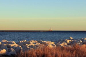 Turnip Cakes: Complete Guide to Authentic Chinese Cuisine