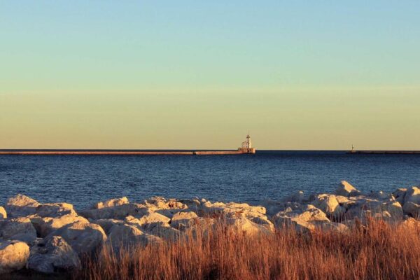Turnip Cakes: Complete Guide to Authentic Chinese Cuisine
