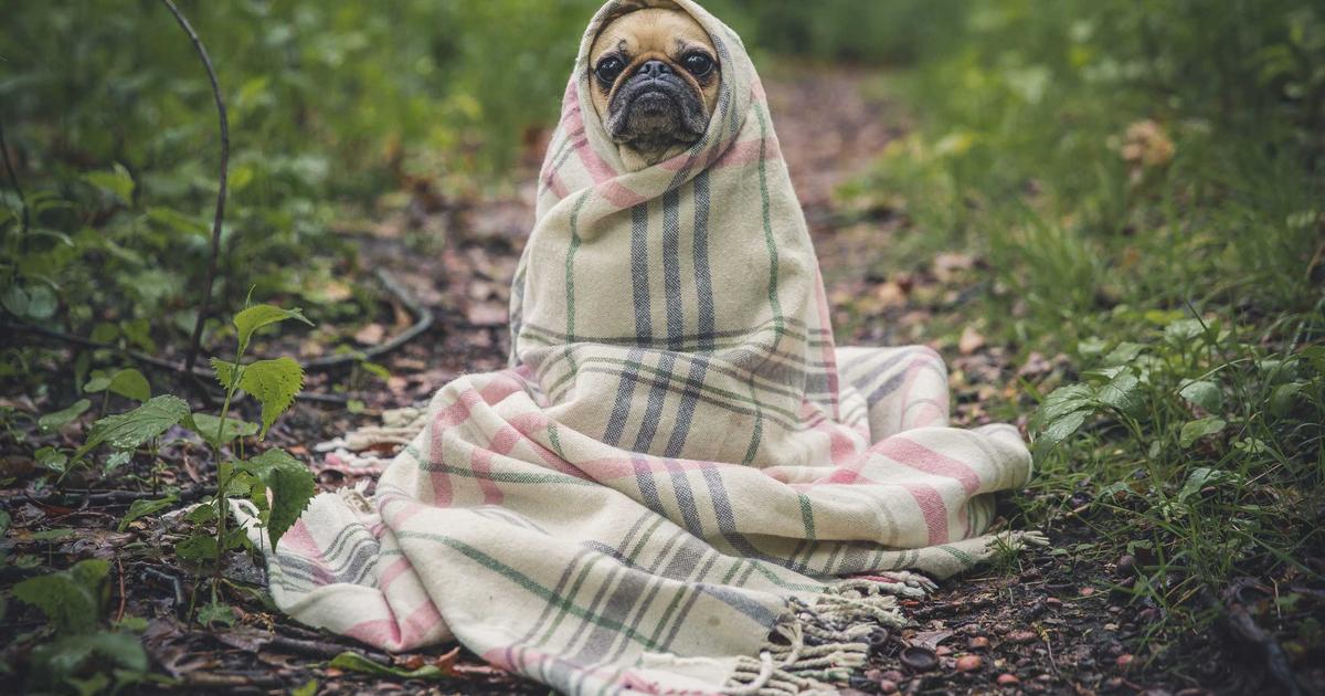 best Wuhan travel guide