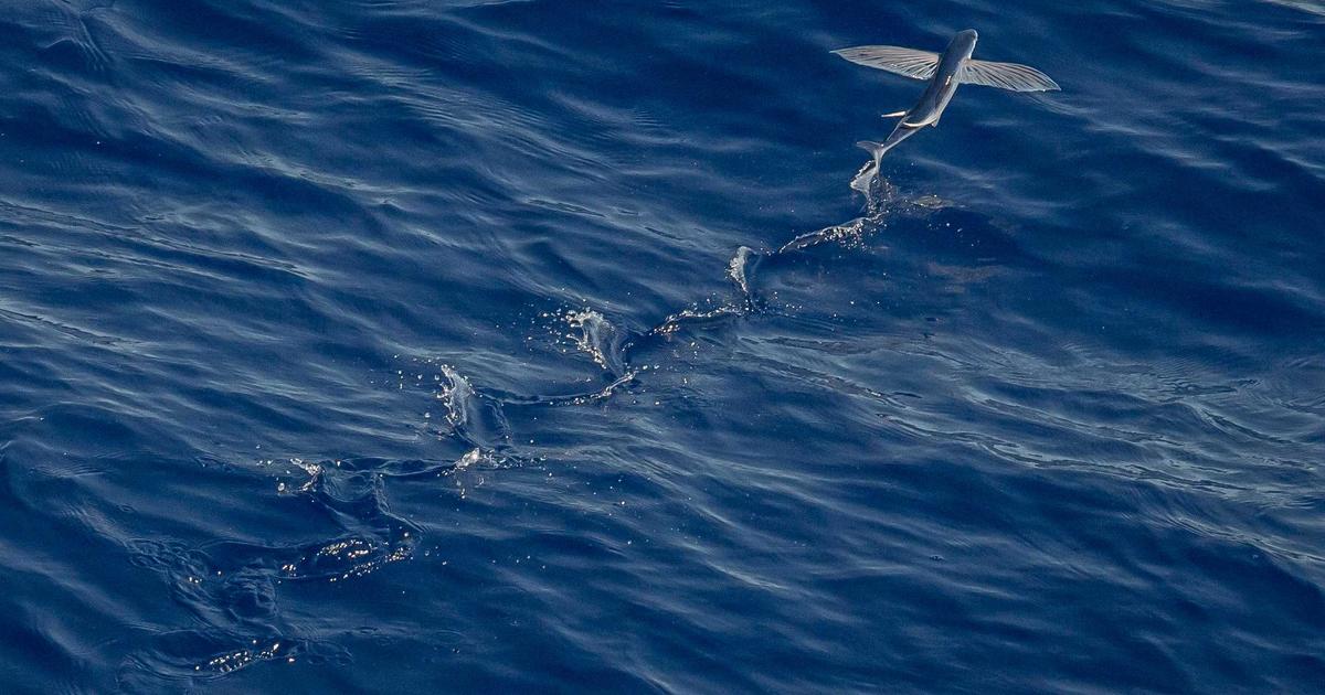 Sanya street food guide