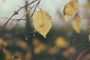 Guilin Travel Guide 2024: Complete Insider’s Handbook