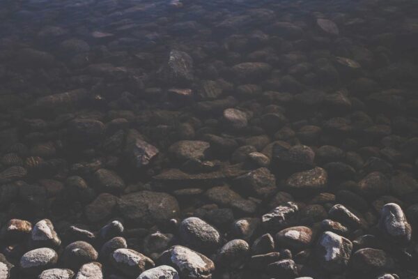 Hot Pot Recipe: Traditional Step-by-Step Cooking Guide