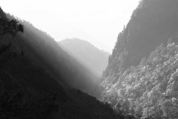 How to Experience Chinese Zodiac as a Foreign Visitor