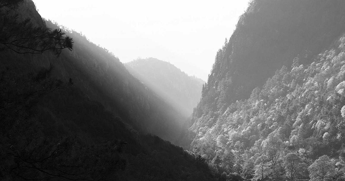 experience Chinese Zodiac China