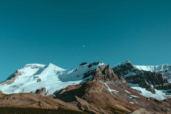 Shaolin Kung Fu: Complete Guide to Chinese Martial Arts