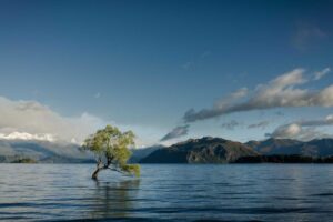 Wudang Martial Arts: Complete Guide to Chinese Martial Arts