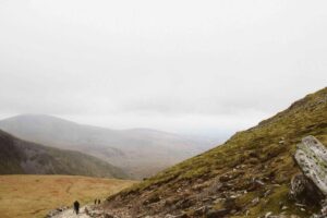 Regional Variations of Peking Duck Across China