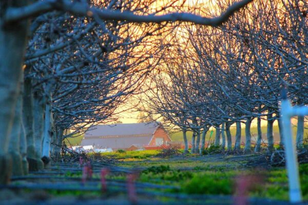 Zhengzhou Street Food: 10 Dishes You Must Try