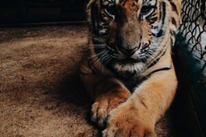 Luoyang in 3 Days: Perfect Weekend Itinerary