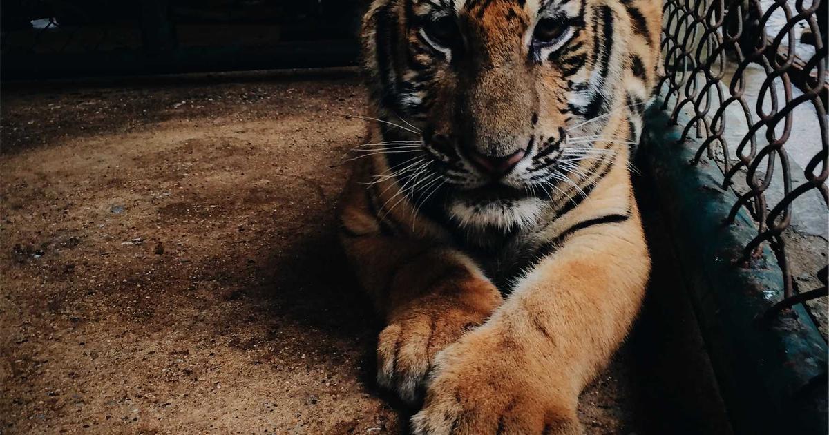 Luoyang 3 day itinerary