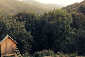 Famous Bajiquan Masters and Their Legacy