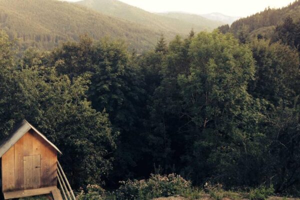 Famous Bajiquan Masters and Their Legacy