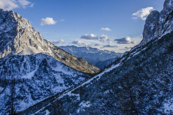 Spring Rolls Recipe: Traditional Step-by-Step Cooking Guide