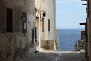 Regional Variations of Soup Dumplings Across China