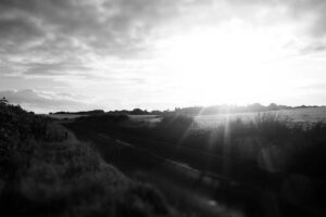 Northern Legs Training: What to Expect as a Beginner