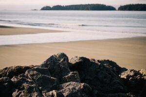 Regional Variations of Sweet and Sour Pork Across China