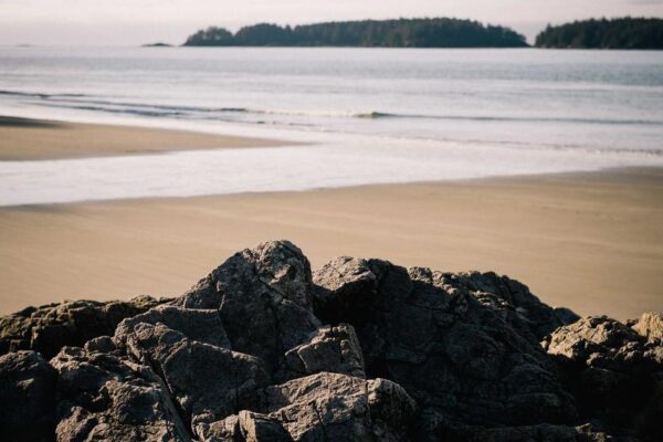 Regional Variations of Sweet and Sour Pork Across China