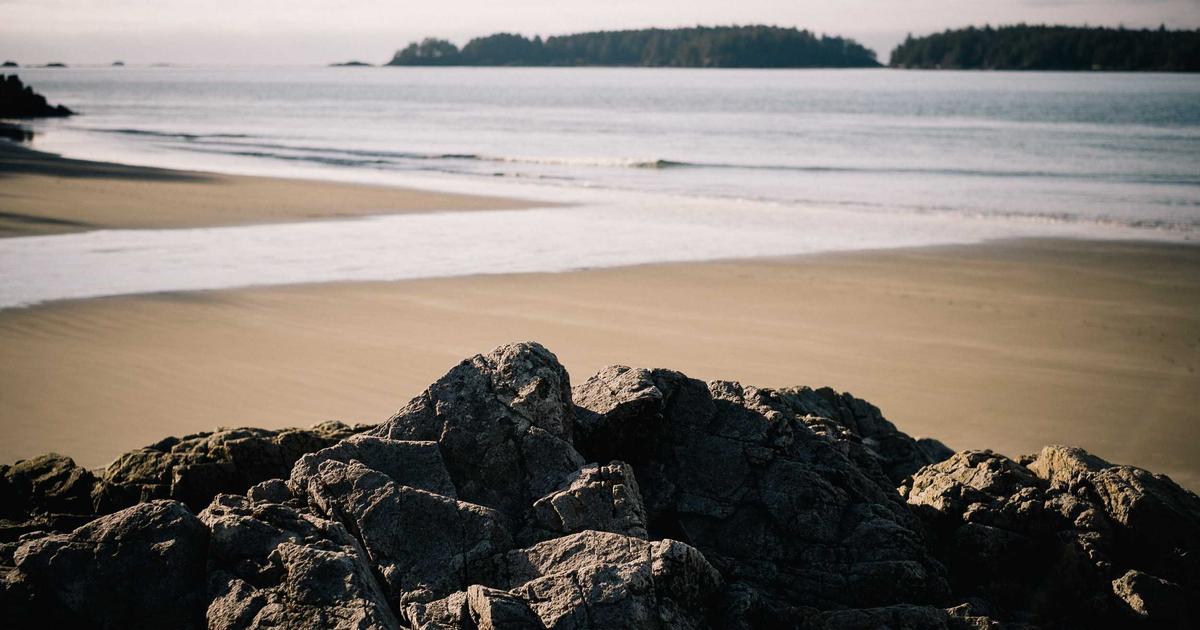 Sweet and Sour Pork regional styles