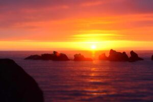 Shaolin Kung Fu Training: What to Expect as a Beginner