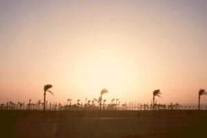 How to Experience Chinese Tea Ceremony as a Foreign Visitor