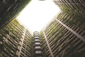 The Cultural Significance of Chinese Gardens Explained