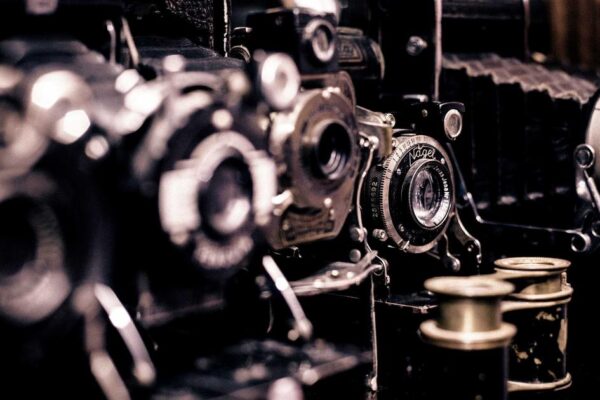 Tai Chi Training: What to Expect as a Beginner