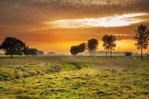 Xi’an Street Food: 10 Dishes You Must Try