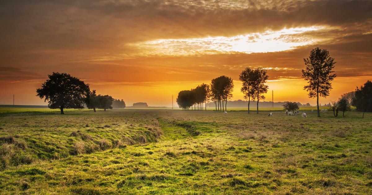 Xi'an street food guide