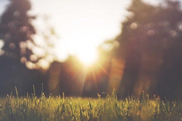 Hidden Gems in Harbin: Beyond the Tourist Trail