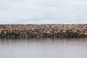 Southern Fist Training: What to Expect as a Beginner