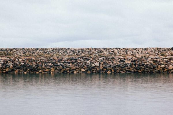 Southern Fist Training: What to Expect as a Beginner