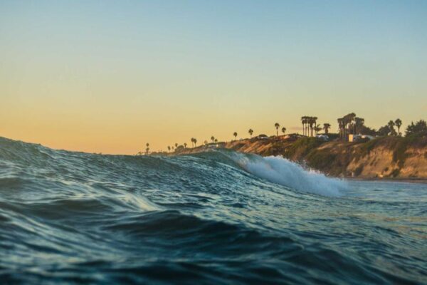 Xingyi Training: What to Expect as a Beginner