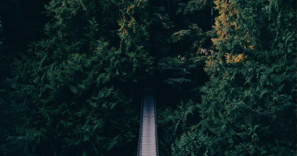 experience Chinese Tea Ceremony China