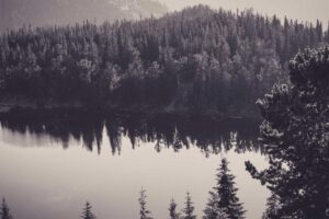 Hidden Gems in Harbin: Beyond the Tourist Trail