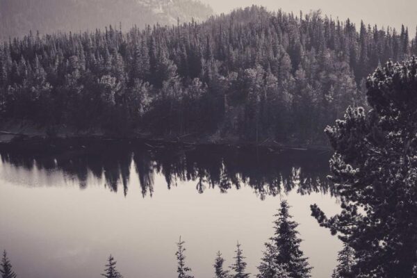 Hidden Gems in Harbin: Beyond the Tourist Trail