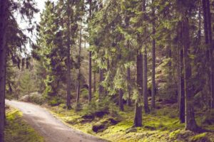 Qingdao Photography Spots: Local’s Guide to the Best Views