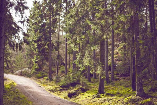 Qingdao Photography Spots: Local’s Guide to the Best Views