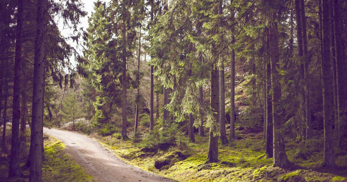 Qingdao photography spots