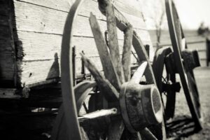 Paper Cutting in Modern China: Traditions Today