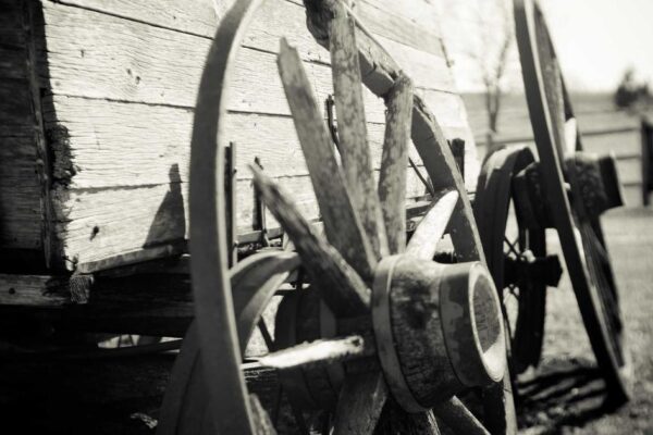 Paper Cutting in Modern China: Traditions Today