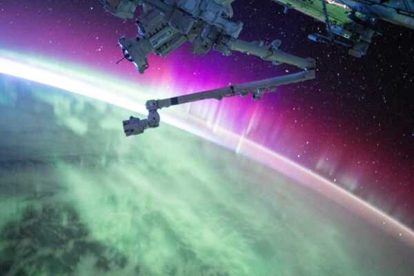 Chinese Zodiac: Complete Introduction to Chinese Traditions