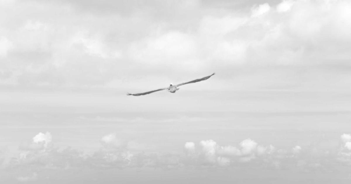 china - China Culture Guide