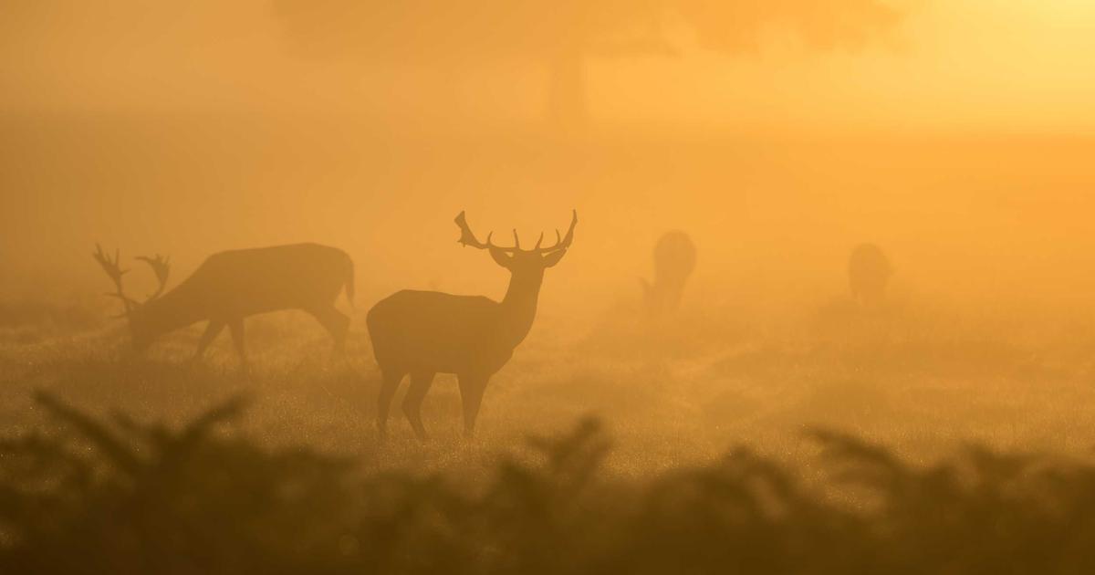 spicy-food - China Culture Guide