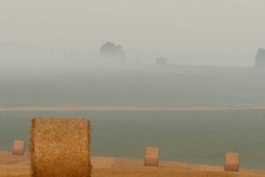 Sichuan Cuisine: A Complete Guide to the Bold Flavors of Western China