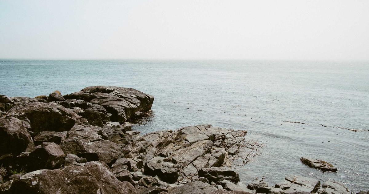 chinese-food - Chinese Food Culture