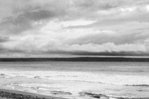 Kung Pao Chicken: The Iconic Sichuan Dish That Conquered the World