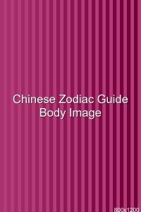 Chinese Zodiac Guide
