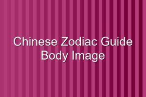 Chinese Zodiac Guide